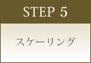 STEP 5 スケーリング