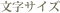 文字サイズ